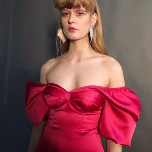 NWOT SILVIA ASTORE ANISSA DRESS - PINK, SIZE 40 (US 4) - Picture 2 of 7